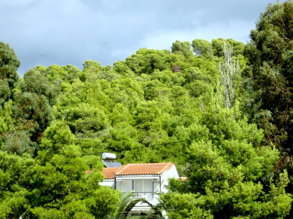 Heracles Guesthouse Rovies Dış mekan fotoğraf